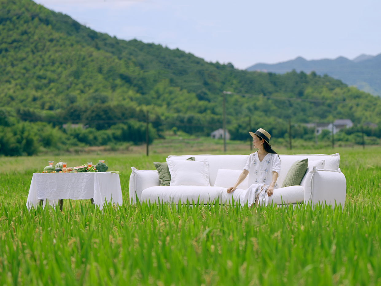 Sofa 206063B